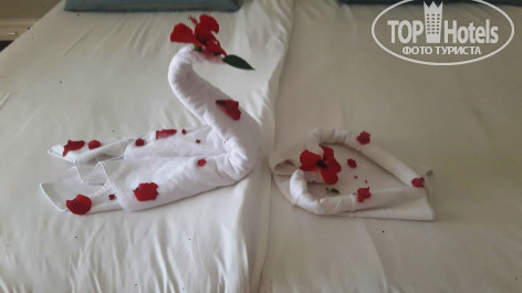 Iberostar Averroes 4* - Фото отеля