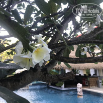 Baan Karon Resort 3* - Фото отеля