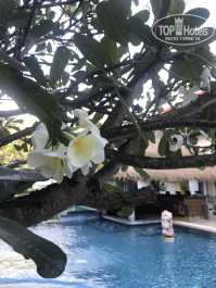 Baan Karon Resort 3* - Фото отеля