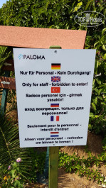PALOMA Paradise Beach (закрыт) 4* Местный юмор - Фото отеля