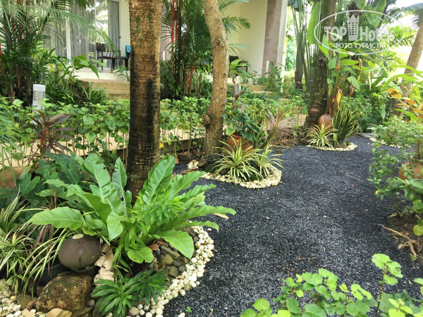 Centara Karon Resort Phuket 4* - Фото отеля