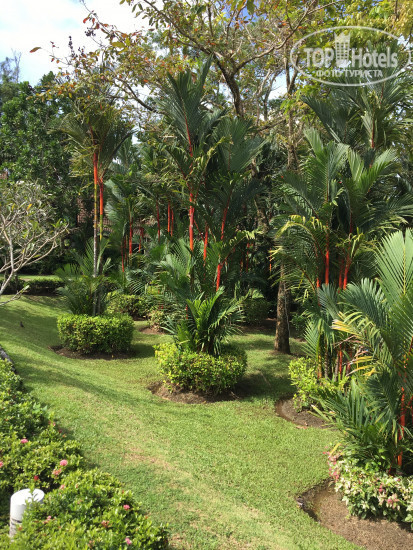 Centara Karon Resort Phuket 4* - Фото отеля