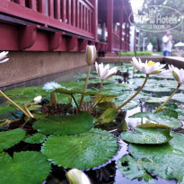 Kata Thani Phuket Beach Resort 5* - Фото отеля