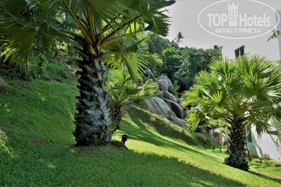 Kata Thani Phuket Beach Resort 5* - Фото отеля