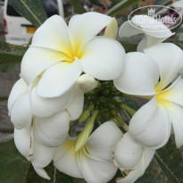Baan Karon Resort 3* - Фото отеля