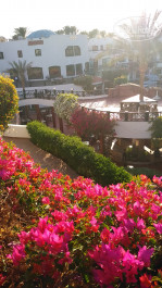 Verginia Sharm Resort & Aqua Park 4* - Фото отеля