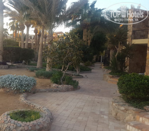 Jewels Sahara Boutique Resort 4* - Фото отеля