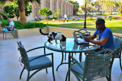 Danat Jebel Dhanna Resort 5* - Фото отеля