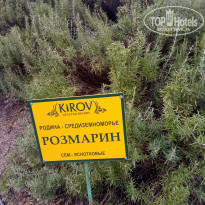 Санаторий Кирова - Фото отеля