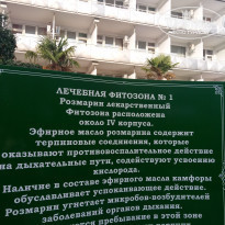 Санаторий Кирова - Фото отеля