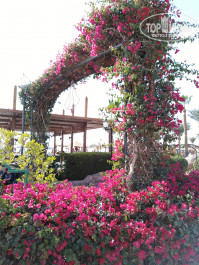 Naama Bay Promenade Beach Resort Managed By Accor 5* - Фото отеля