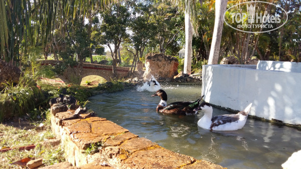 Brisas Del Caribe 4* - Фото отеля