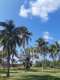 Brisas Del Caribe 4* - Фото отеля