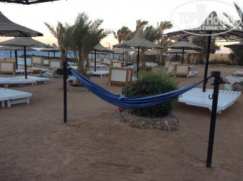 Jewels Sahara Boutique Resort 4* - Фото отеля