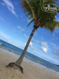 Mangos Jamaica 3* пляж около соседнего отеля - Фото отеля