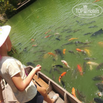 Centara Karon Resort Phuket 4* - Фото отеля