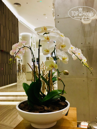Le Royal Meridien Beach Resort & Spa 5* - Фото отеля