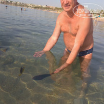 Naama Bay Promenade Beach Resort Managed By Accor 5* на пляже - Фото отеля