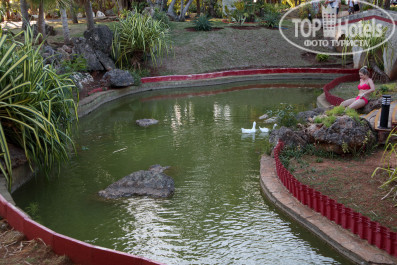 Brisas Del Caribe 4* - Фото отеля