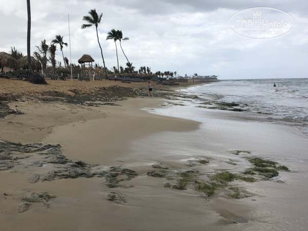 Ocean El Faro 5* - Фото отеля
