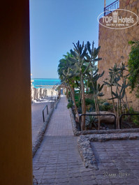 Jewels Sahara Boutique Resort 4* - Фото отеля