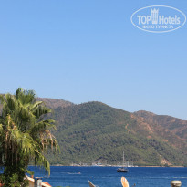 Premier Nergis Beach 4* Вид из номера - Фото отеля