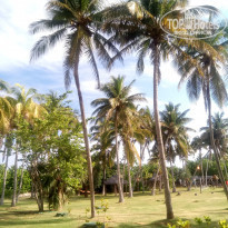 Brisas Del Caribe 4* - Фото отеля