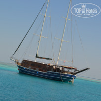 Jewels Sahara Boutique Resort 4* - Фото отеля