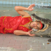 Jomtien Palm Beach 4* шоу с крокодилами - Фото отеля