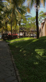 Ocean Star Resort 4* - Фото отеля