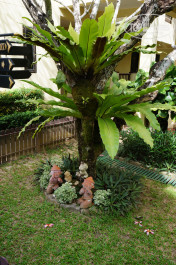 Diamond Cottage Resort & Spa 4* - Фото отеля