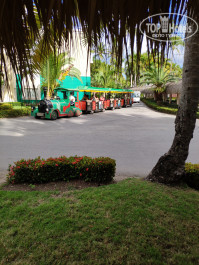Grand Palladium Punta Cana Resort & Spa 5* - Фото отеля