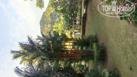Centara Karon Resort Phuket 4* - Фото отеля