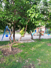 Green Paradise Beach Hotel 4* - Фото отеля