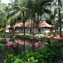 TTC Resort Premium Ninh Thuan 4* - Фото отеля