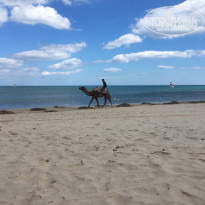 Iberostar Averroes 4* - Фото отеля