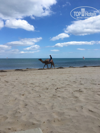 Iberostar Averroes 4* - Фото отеля