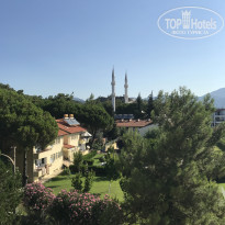Pineta Club Hotel 4* Вид из номера - Фото отеля