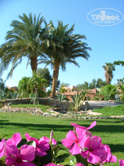 Paradise Abu Soma 4* Зеленая территория отеля - Фото отеля