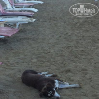 Vista Azur Hotel 4* - Фото отеля