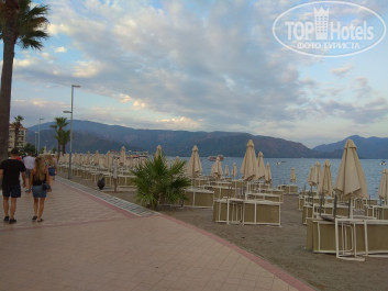 Pineta Club Hotel 4* - Фото отеля