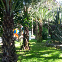 Green Paradise Beach Hotel 4* Green Paradise Beach - Фото отеля