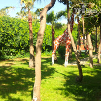 Green Paradise Beach Hotel 4* Green Paradise Beach - Фото отеля