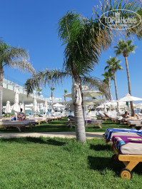 Constantinos The Great Beach Hotel 5* - Фото отеля