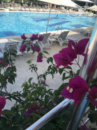 MG White Lilyum 5* - Фото отеля