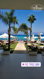 Constantinos The Great Beach Hotel 5* - Фото отеля