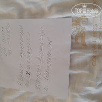Constantinos The Great Beach Hotel 5* - Фото отеля