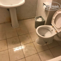 Pineta Club Hotel 4* - Фото отеля
