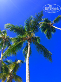 Grand Palladium Punta Cana Resort & Spa 5* - Фото отеля