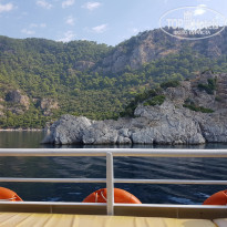 Pineta Club Hotel 4* - Фото отеля